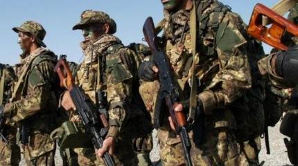 Немецкие СМИ: зачем Путину понадобилась армия наёмников в России Немецкие СМИ: зачем Путину понадобилась армия наёмников в России