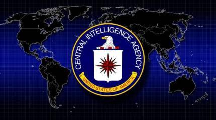 США: плутократы против бюрократов США: плутократы против бюрократов