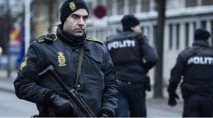 В Дании арестовали 16-летнюю девушку, планировавшую теракты в школах В Дании арестовали 16-летнюю девушку, планировавшую теракты в школах