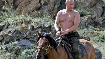 Голый торс Путина как отягчающее обстоятельство Голый торс Путина как отягчающее обстоятельство