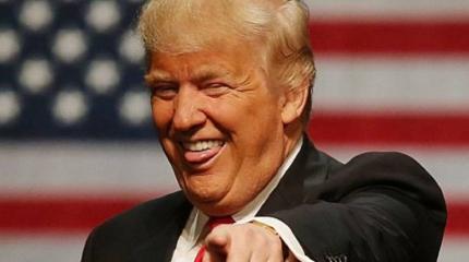 США без намордника США без намордника