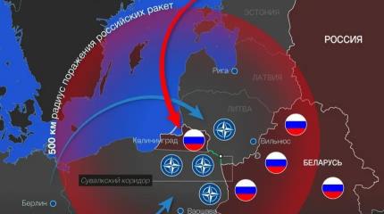 Вильнюс привлек внимание «истошным лаем» на Калининград