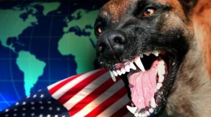 США умирают в конвульсиях. И готовы разнести всю планету США умирают в конвульсиях. И готовы разнести всю планету