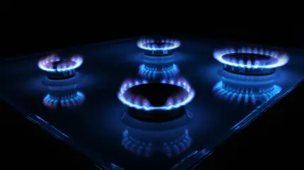Украинец чуть не взорвал дом из страха перед российским газом Украинец чуть не взорвал дом из страха перед российским газом