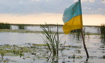New York Times: Украина - это коррупционное болото