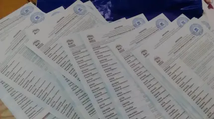 «Понять и простить», или Как в России выборы проходят «Понять и простить», или Как в России выборы проходят