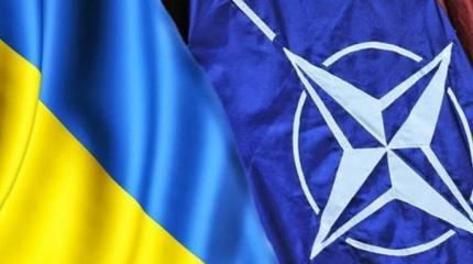 Украина призывает НАТО развязать войну с Россией Украина призывает НАТО развязать войну с Россией