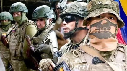 Иностранные наёмники для ВСУ, или Чем занимаются украинские дипломаты?