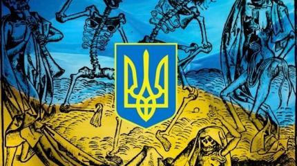 Главный вопрос Украины Главный вопрос Украины