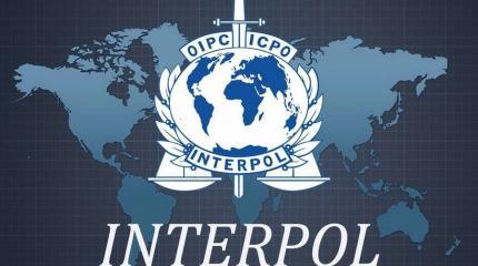 Чего ждать России от выборов главы Интерпола Чего ждать России от выборов главы Интерпола