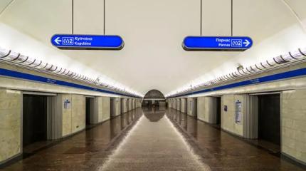 «Давайте еще портрет Зеленского на пол в метро выложим, чтоб топтать»