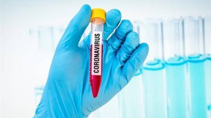 Чудовище из лабораторных пробирок Чудовище из лабораторных пробирок
