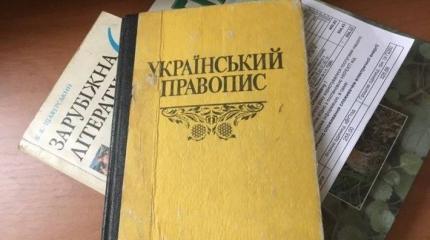 Украина исключила возможность признания русского языка на Донбассе Украина исключила возможность признания русского языка на Донбассе