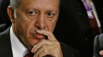 Политический цирк: как Эрдоган вытеснил с арены Порошенко, Яценюка и Саакашвили Политический цирк: как Эрдоган вытеснил с арены Порошенко, Яценюка и Саакашвили