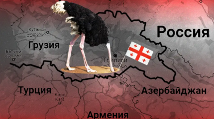 Назло России: планы Запада в Закавказье поставили Грузию в позу страуса Назло России: планы Запада в Закавказье поставили Грузию в позу страуса