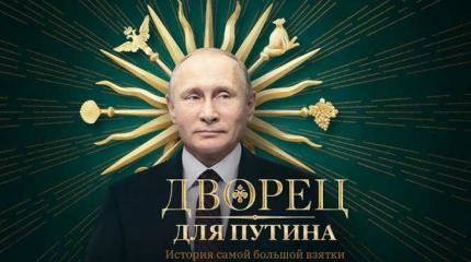 «За рекламу фильма и призывы на митинг платили атомные деньги»