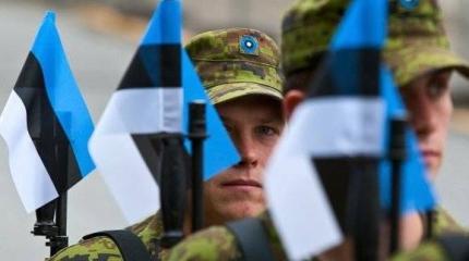 Эстонцы вынашивают коварные планы нападения на Россию Эстонцы вынашивают коварные планы нападения на Россию