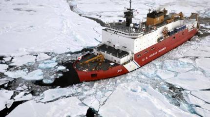 Американцы от злости на русских грызут арктический лед Американцы от злости на русских грызут арктический лед