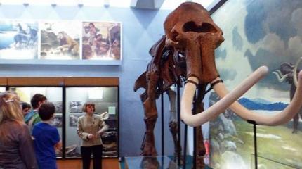Музей в Луганске: история сильнее бомб Музей в Луганске: история сильнее бомб