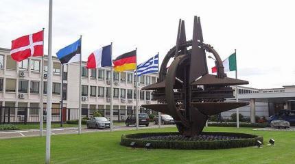 Венгерские палки в украинские колеса Венгерские палки в украинские колеса