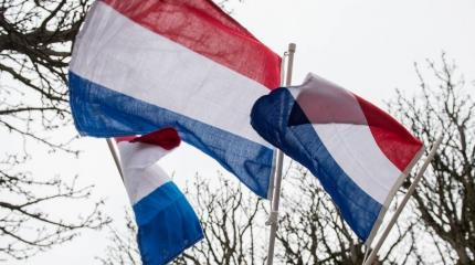 Провокация Голландии: Запад переписывает все правила, чтоб замять дело MH17 Провокация Голландии: Запад переписывает все правила, чтоб замять дело MH17
