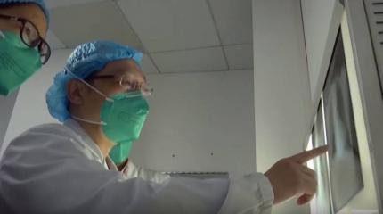 Китайский коронавирус: правда и мифы Китайский коронавирус: правда и мифы