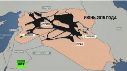 Антисистема. Сила и слабость «Исламского государства»