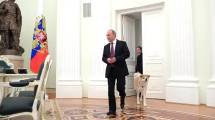 Чего ждать от российско-японских переговоров по Курилам