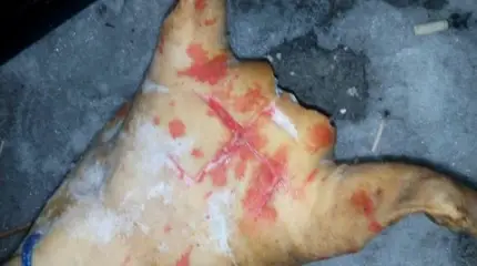 Осквернение еврейской святыни в Умани как предвестник погромов