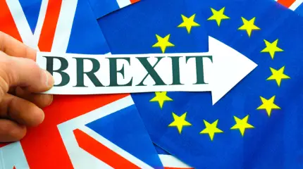 Brexit может занять до 20 лет