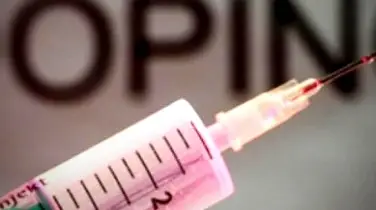 USADA и WADA в «медвежьем» капкане: приговор для лживого агентства