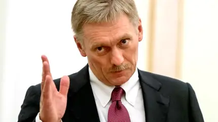 Песков назвал уродливыми проявлениями сумасшествия слова Рынски о Ту-154