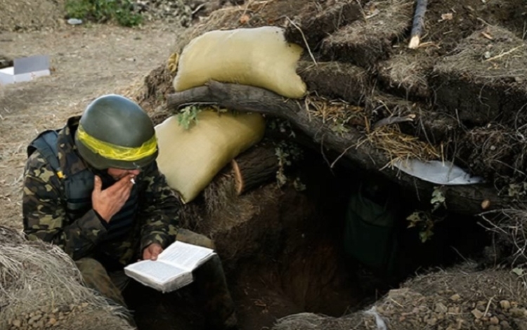 За язык никто не тянул: запрет русских книг на Украине не сработает