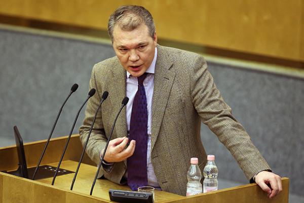 Калашников призвал МИД России начать выдачу паспортов РФ в Донбассе