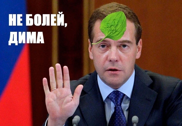 На Димона начихали