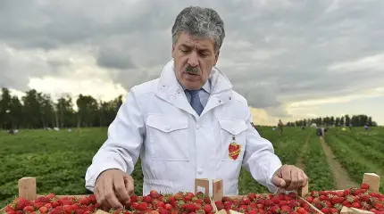 Критический разбор «20 шагов Павла Грудинина»