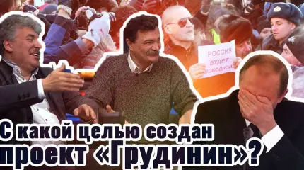 С какой целью создан проект "Грудинин"?