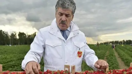 СМИ дружно хоронят Грудинина, на электорат никто не смотрит