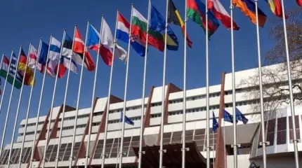 БДСМ по-европейски — теперь и на межпарламентском уровне
