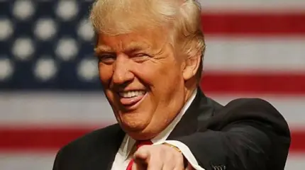 США без намордника
