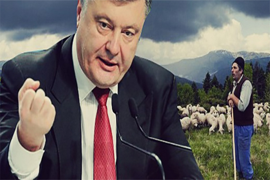 Закарпатье восстает против Порошенко и его хунты