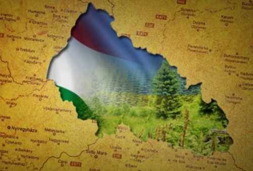 О гипотезах украинско-венгерской войны