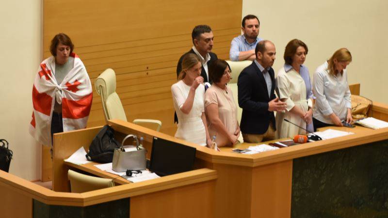 В срыве заседания МПА власти Грузии сомкнулись с оппозицией