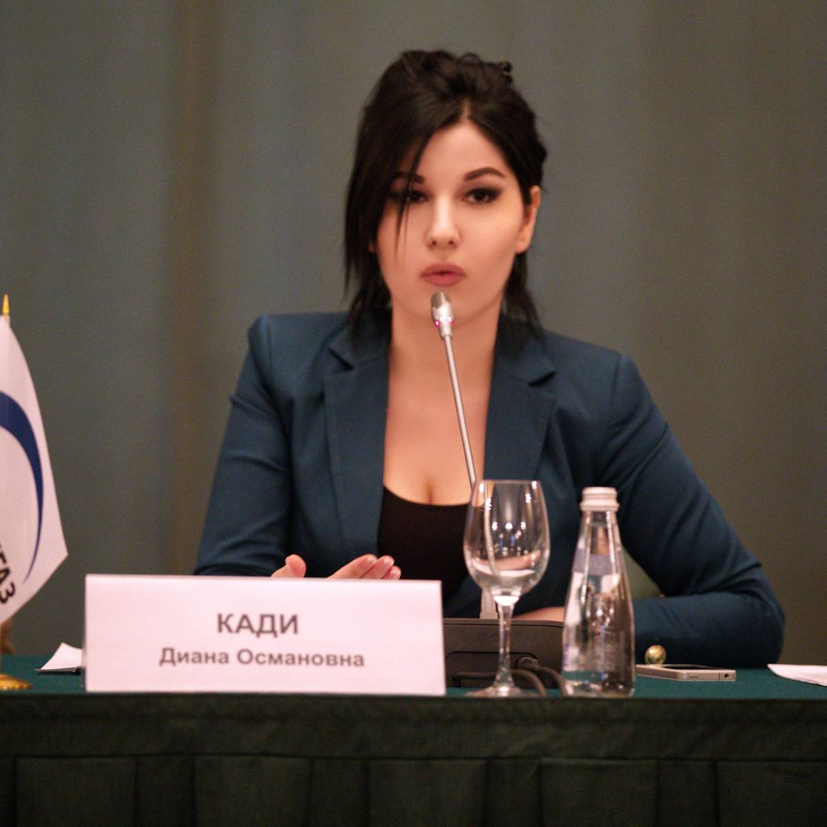 Диана Кади: Порохоботы против Шария