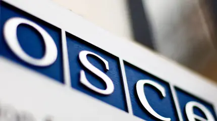 ПА ОБСЕ заняла прогрузинскую позицию