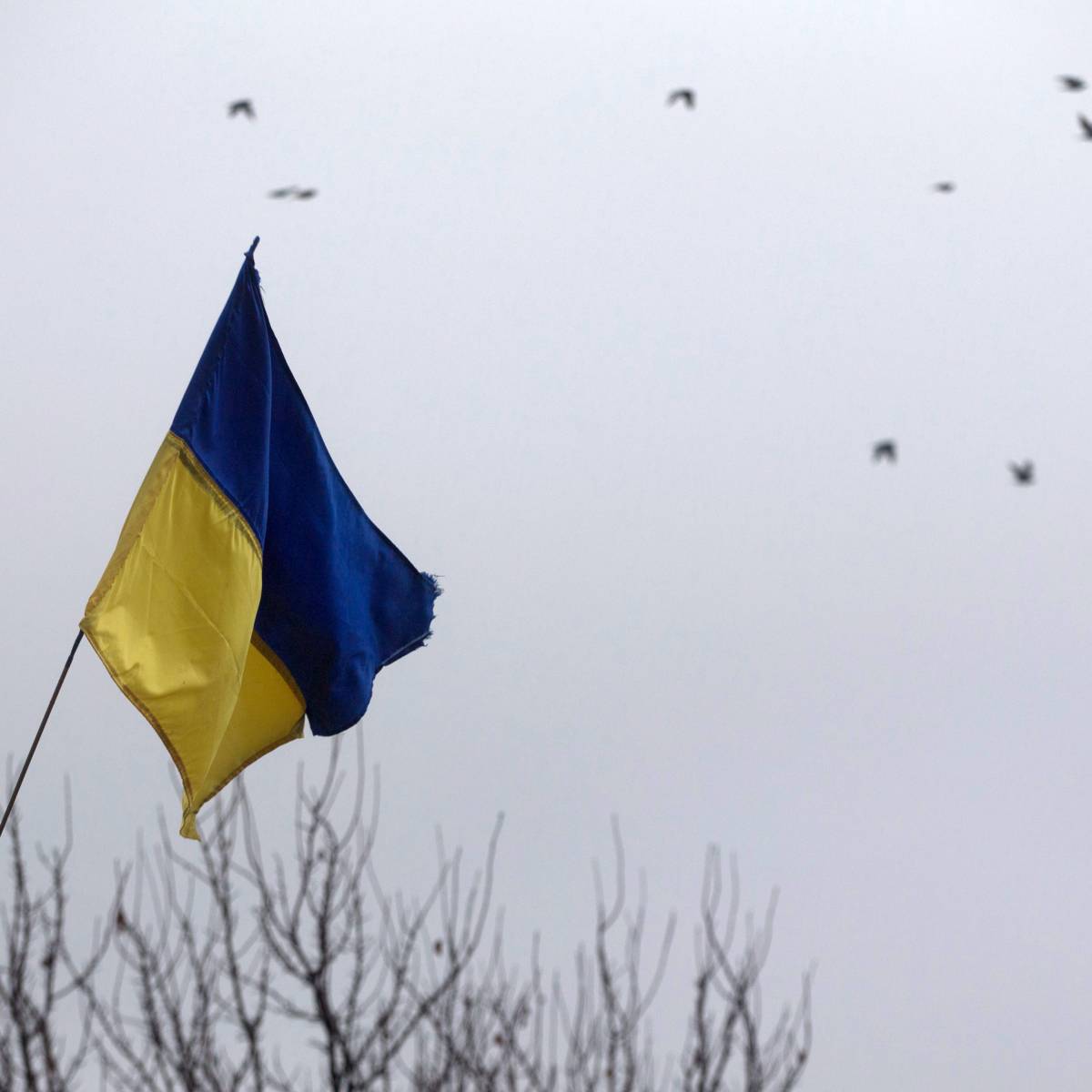 В офисе Зеленского проходят обыски