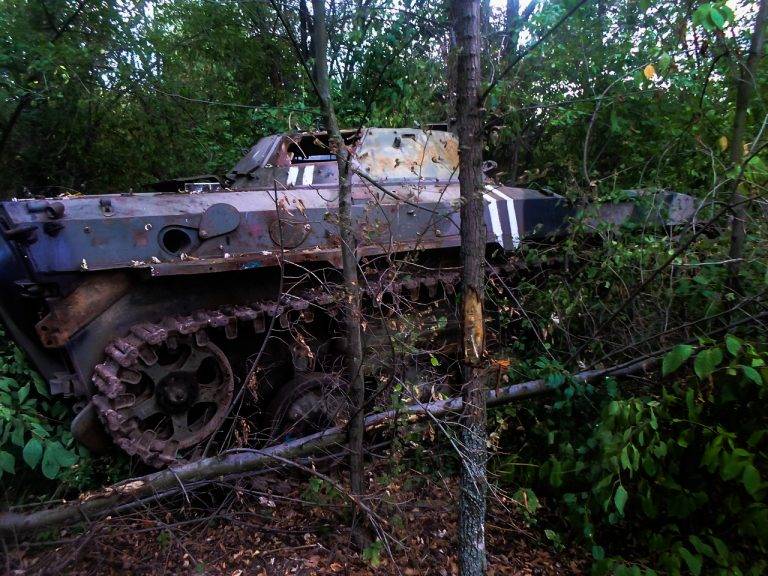 Может ли Донбасс повторить участь Сербской Краины?