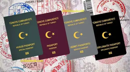 Отмена виз для турок и крепнущее «нерушимое братство» Анкары и Баку