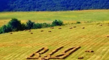 Иллюзии новоявленных украинских помещиков не помешают России купить Украину