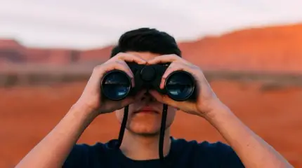 Щит и меч, или Как с умом распорядиться силой